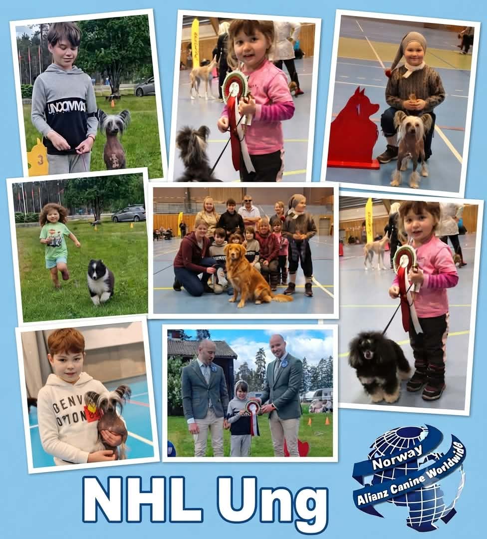 Artikkelbilde til artikkelen Juniorhandling-mer informasjon under NHL Ung 