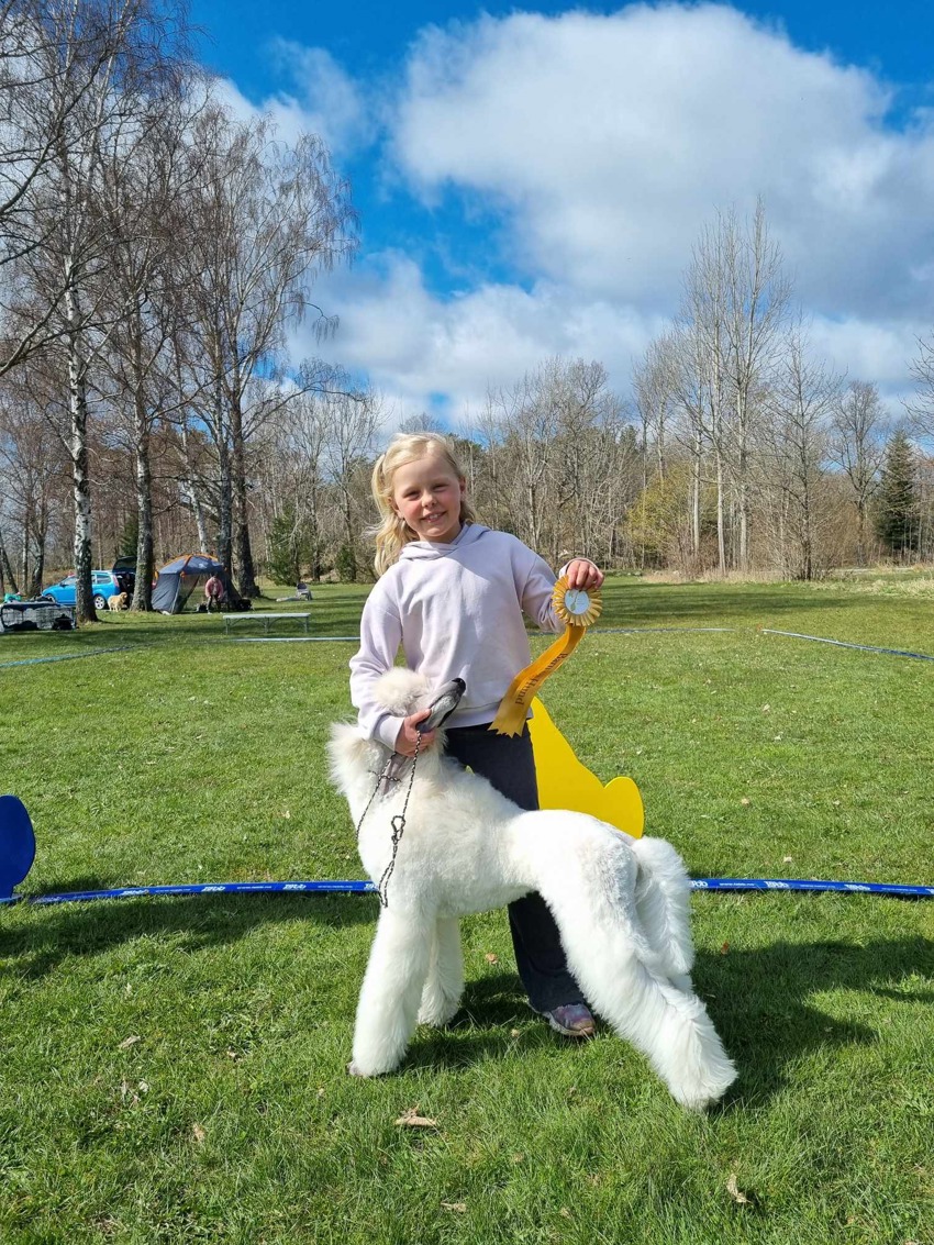 2025 Årsmøte dokumenter