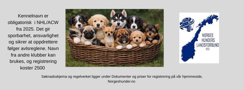 Viktige regler om kennelnavn