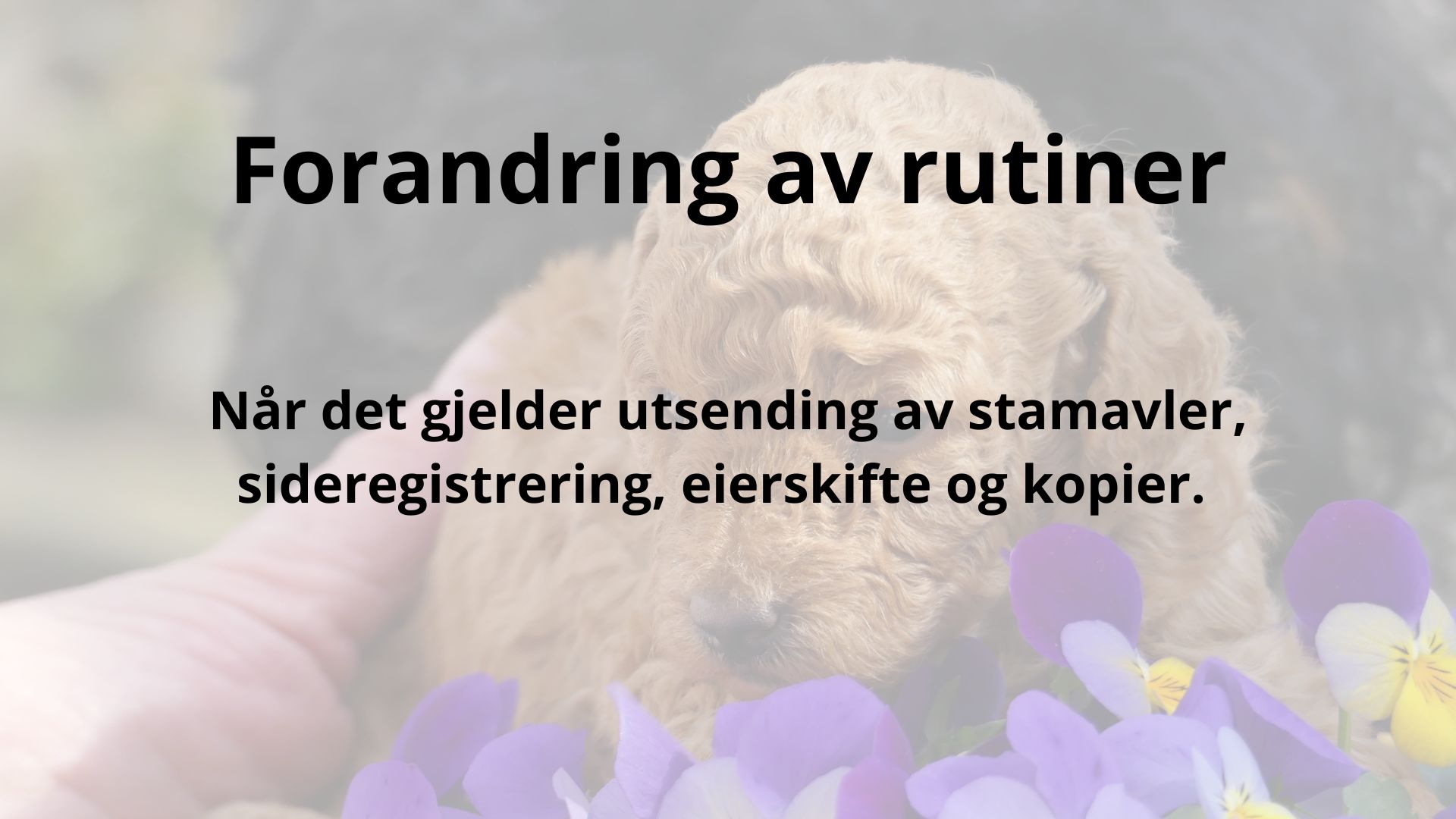 Artikkelbilde til artikkelen Nye rutiner ved utsendelser